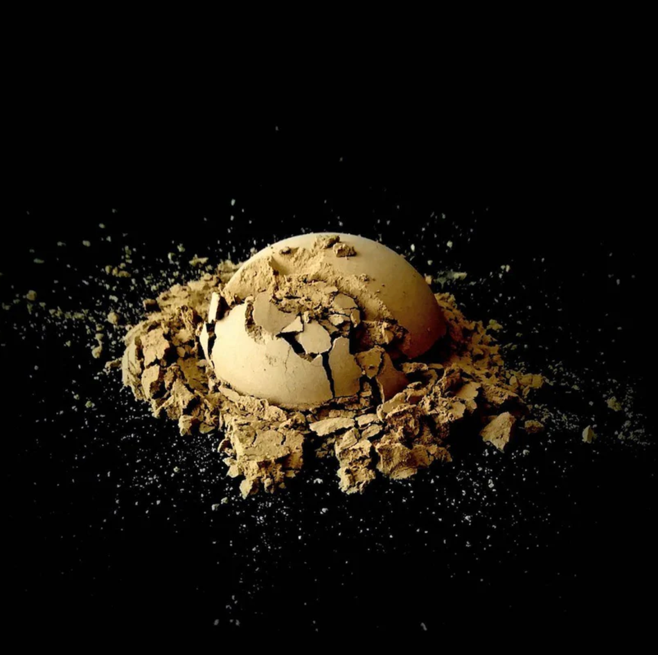 Hojicha Powder (100g)